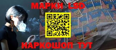 apvp Нальчик