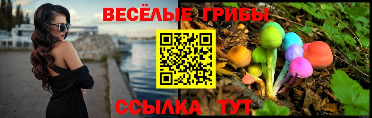 Псилоцибиновые грибы мухоморы Избербаш
